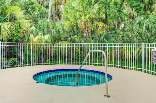 Hot tub and sundeck surrounded by palm trees and green shrubs.