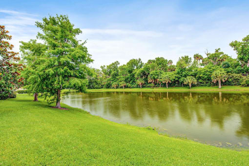 Lake surrounded by grass area and trees