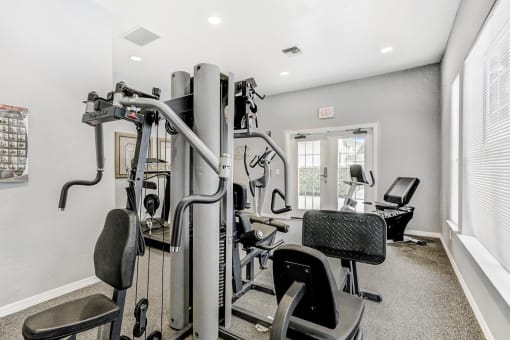 Fitness center with strength and cardio equipment, and several windows.