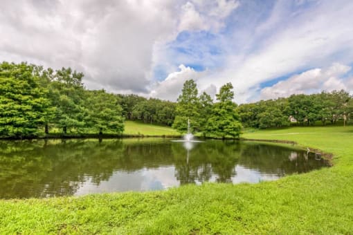 Lake with Scenic Views