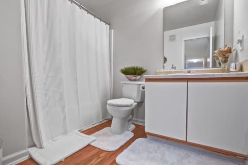 A furnished bathroom with hardwood style flooring, gray walls, a single toilet, white cabinets underneath a single sink, a mounted mirror and a tub/shower combo with a white shower curtain.