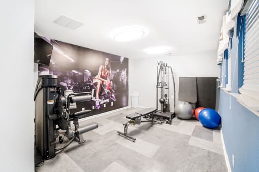Fitness center with weighted equipment and large mural