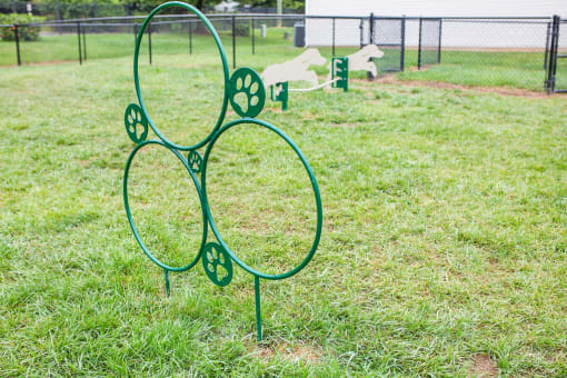 Fenced in grass dog park