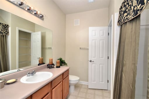 Decorated bathroom with vanity on the left and shower on the right of the room. The toilet is in the back of the room.