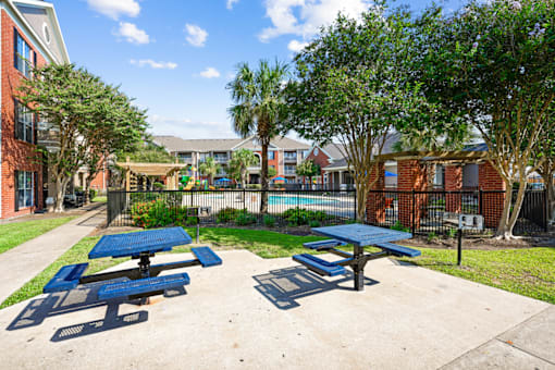 our apartments showcase a swimming pool