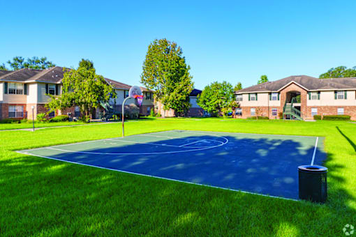 A basketball court in a grassy area with houses in the background.