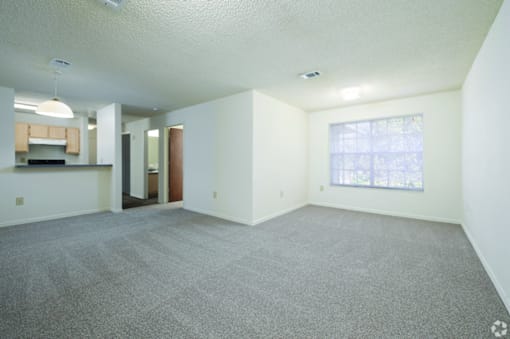 A spacious empty room with a carpeted floor and a window.
