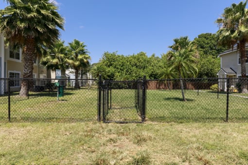 Fenced in Dog Park Surrounded by Trees and Building Exteriors