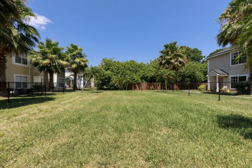 Inside of Grassy Fenced in Dog Park with Trees and Building Exteriors