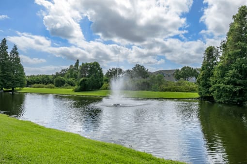 Lake view with water fountain feature