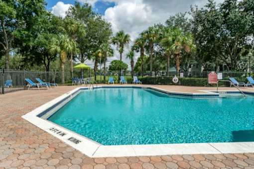 Swimming pool with lounge seating surrounded by native landscaping