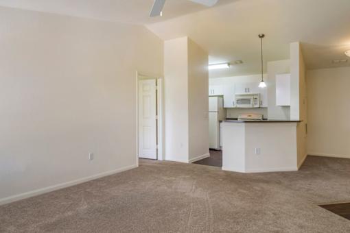 Spacious living room with carpet flooring