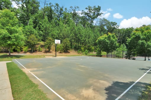 Basketball court with painted white regulation lines. Trees line the court and background.