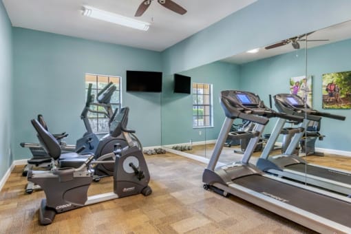 Fitness and Cardio Center Mounted TV Mirror Accent Wall and Window