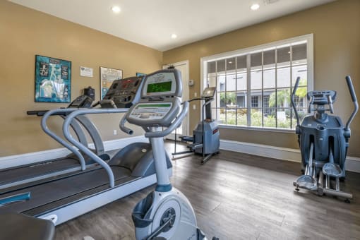 Fitness Center Cardio Equipment and Large Window