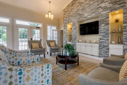 Clubhouse lounge with chairs, coffee table, rug, television, and built-in book shelves