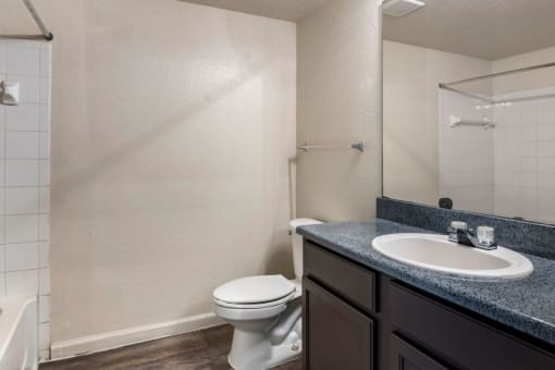 Bathroom with hardwood style flooring and large mirror