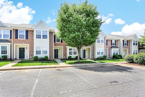 A tree in front of a row of houses.