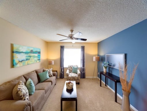 Classic Living Room Design With Television at Holly Cove Apartments, Orange Park, FL