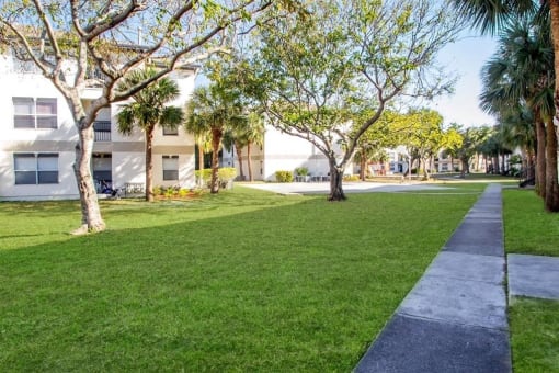 Courtyard with walkway and trees