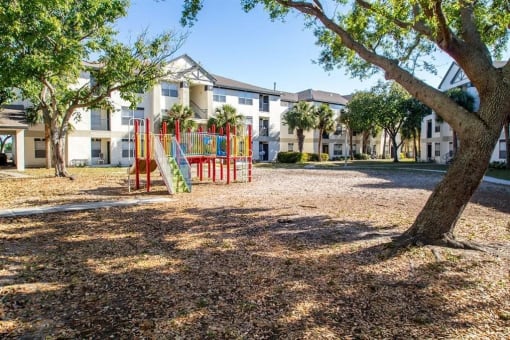 playground with trees