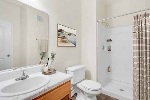 a bathroom with a shower toilet and sink