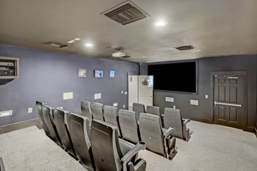 the theatre room