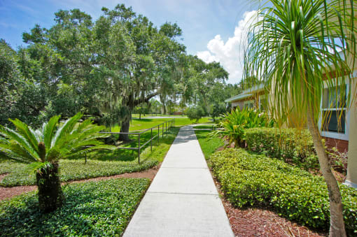 a walkway with trees and bushes on either side