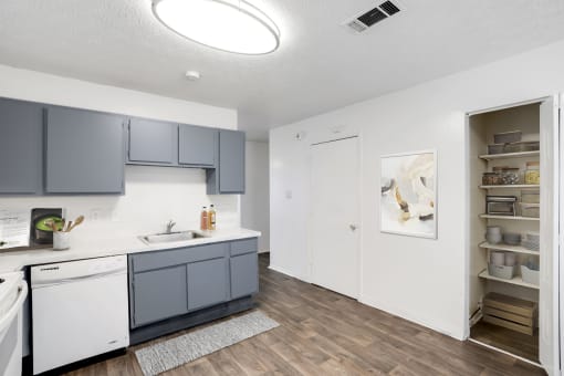 a kitchen with gray cabinets and a white dishwasher