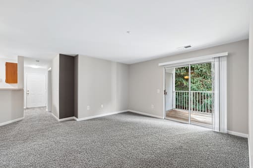 A room with a grey carpet and a sliding glass door.