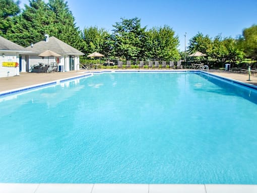 A large blue swimming pool surrounded by trees and a small building.