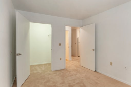 Carpeted Bedroom with Walk in Closet