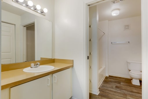 a bathroom with a sink and a toilet