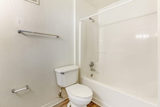 a bathroom with a toilet and a bathtub