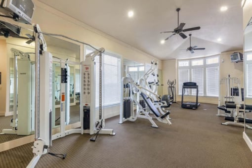 Fitness Center with a treadmill, free weights, ceiling fans, and large spacious windows