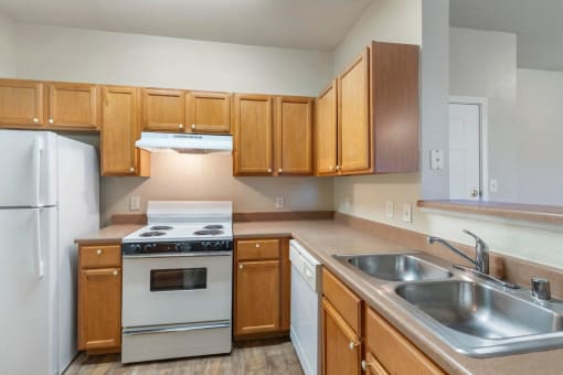 Fully-Equipped Kitchen with Double Basin Sink