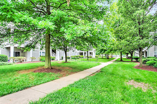A tree-lined walkway in front of a row of houses.