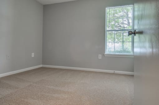 Empty bedroom with carpet and window