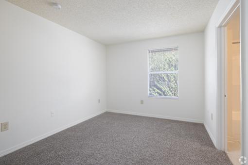 A room with a carpeted floor and a window with a view of trees.
