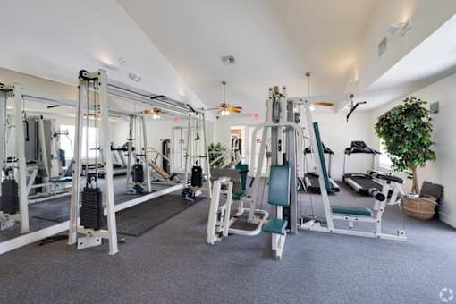 A gym with a variety of equipment including a leg press machine, a chest press machine, a lat pulldown machine, a leg curl machine, a leg extension machine, a seated calf raise machine, a rowing machine,