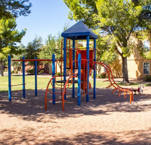 Multi Colored Playground in Shaded Courtyard with Tall Trees