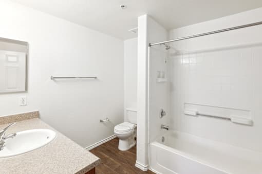 a bathroom with a sink and a toilet and a bath tub