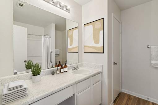 A bathroom with a white countertop and a mirror above the sink.