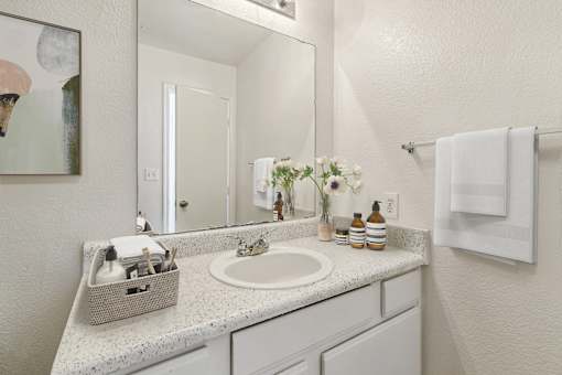 A bathroom with a white sink and a mirror.