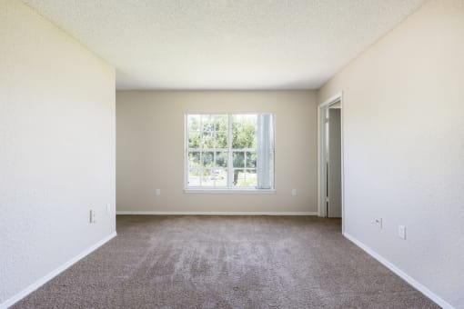 Open Carpeted Room with Windows