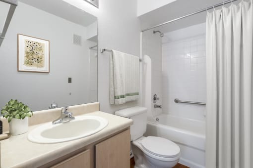 a bathroom with a sink toilet and bathtub