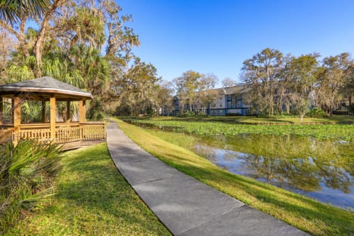 a gazebo on the side of a pond with a building in the background
