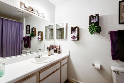 Decorated Bathroom with Vanity White Counters and White Cabinets with Wood Accents  Purple Shower Curtain in Mirror Reflection