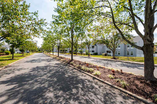 A tree-lined street with apartment buildings in the background.