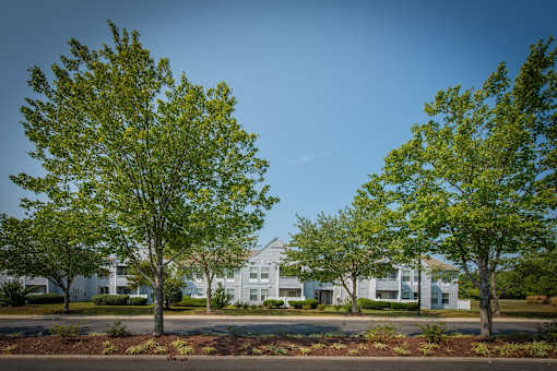 A row of trees in front of a white building.